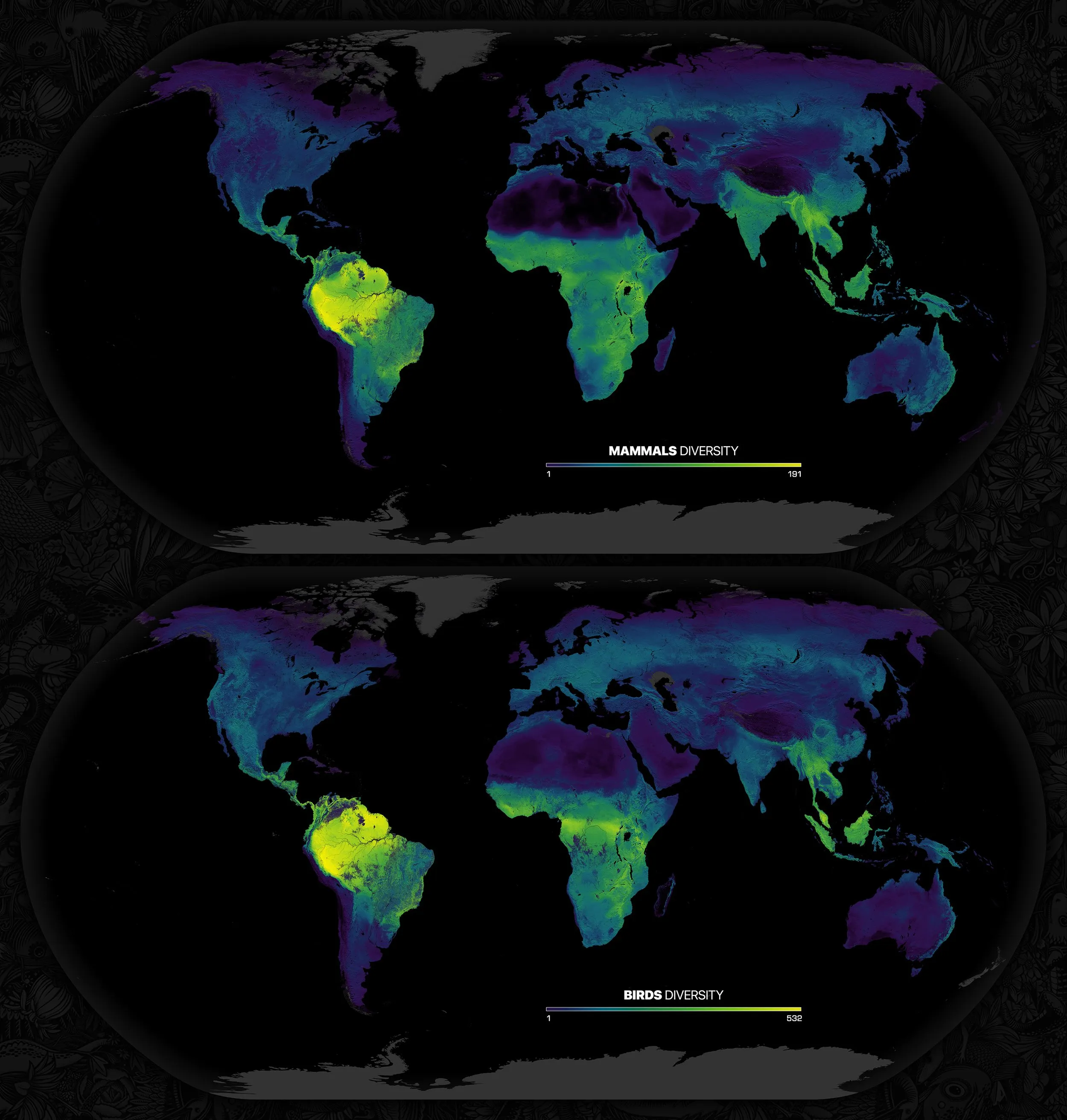 Mammal and bird species richness map