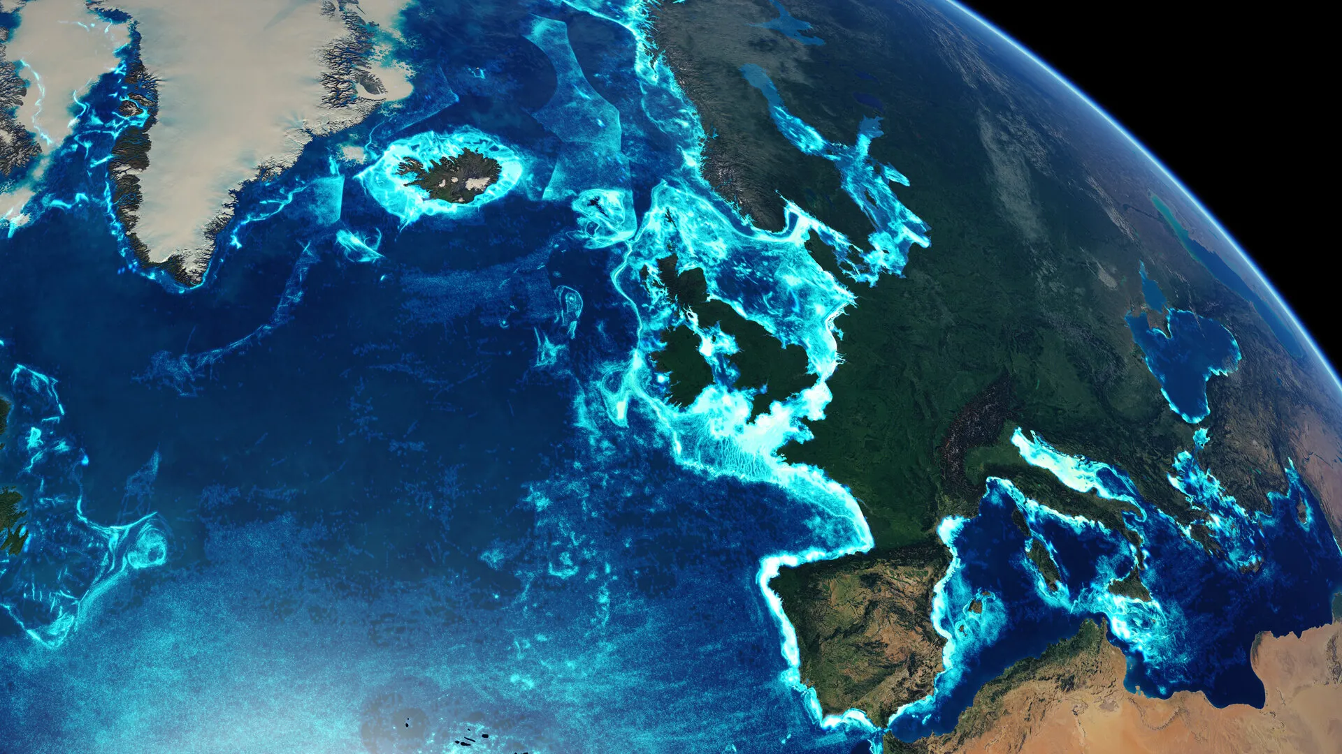 Global fishing activity